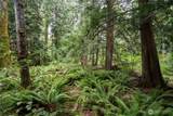 0 NHN Horton Road - Photo 4