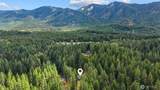 291 Nelson Creek Road - Photo 30