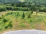3284 Blanchard Knob Trail - Photo 2