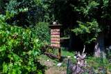 3695 Grandview Road - Photo 36