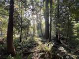 0 Old Pacific Highway - Photo 1