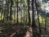 0 Old Pacific Highway - Photo 5