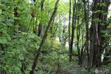 0 Old Pacific Highway - Photo 8