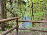 423 Lords Lake Loop - Photo 26