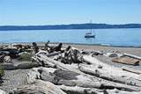 6400 Fauntleroy Way - Photo 33