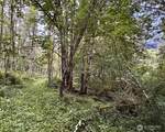 355 XX Courtney Road - Photo 8