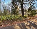 355 XX Courtney Road - Photo 9