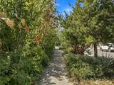 2001 Lucile Street - Photo 29