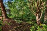 37464 Olympic View Road - Photo 25
