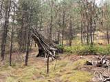 112 Tbd Sunrise Rd - Photo 7