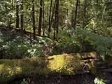 26003 Issaquah-Fall City Road - Photo 15
