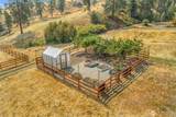 119 Rusty Spur Lane - Photo 35
