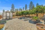 119 Rusty Spur Lane - Photo 36