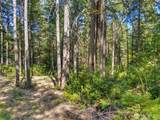 0 TR3 Mason Lake Road - Photo 8