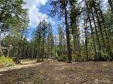 0 TR3 Mason Lake Road - Photo 9
