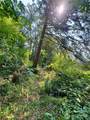 28301 43rd Street - Photo 5