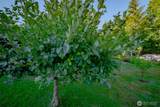 6140 Miller Road - Photo 36