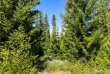 91 Basin Creek Way - Photo 7