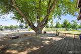 2924 Cottonwood Road - Photo 34