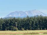 0 Us Highway 12 - Photo 21