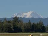 0 Us Highway 12 - Photo 10
