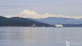 3 Lot Fauntleroy Point Dr - Photo 6