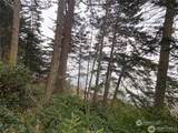 4 Lot Fauntleroy Point Rd - Photo 3