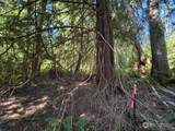 0 Weyers Lane - Photo 1