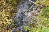 304292 Highway 101 - Photo 4