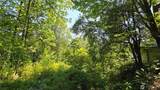 501 33rd Avenue - Photo 9
