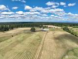 12649 Bald Hill Road - Photo 22