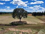 12649 Bald Hill Road - Photo 28