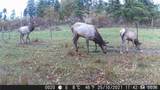 12649 Bald Hill Road - Photo 35
