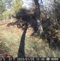 12649 Bald Hill Road - Photo 38