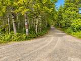 1170 Shoe Lake Road - Photo 9