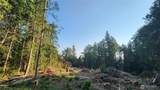 18813 126th Street - Photo 11