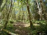 292 Sportmans Club Road - Photo 1