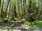 292 Sportmans Club Road - Photo 4