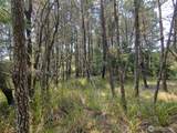26804 J Lane - Photo 11