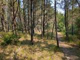 26804 J Lane - Photo 5