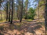 26804 J Lane - Photo 8