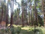 0 XXX Chandler Road - Photo 1