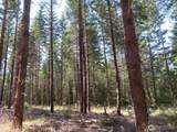 0 XXX Chandler Road - Photo 11