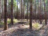 0 XXX Chandler Road - Photo 12