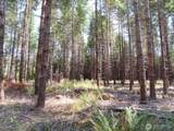 0 XXX Chandler Road - Photo 13