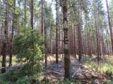 0 XXX Chandler Road - Photo 16
