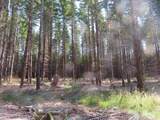 0 XXX Chandler Road - Photo 20