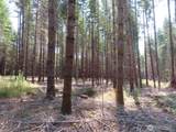 0 XXX Chandler Road - Photo 21