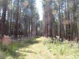 0 XXX Chandler Road - Photo 4