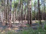 0 XXX Chandler Road - Photo 6